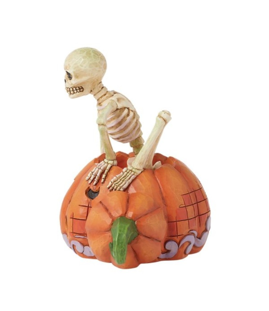 scared-to-the-bone-skeleton-in-a-pumpkin (2)