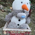 Me To You Plush With Snowman Hat