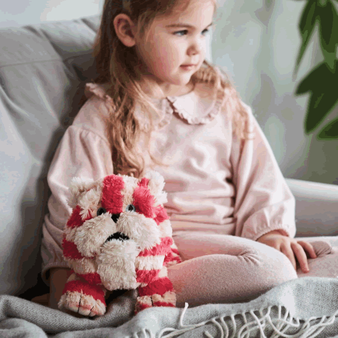 Warmies Bagpuss Cat Warmies Bagpuss Cat