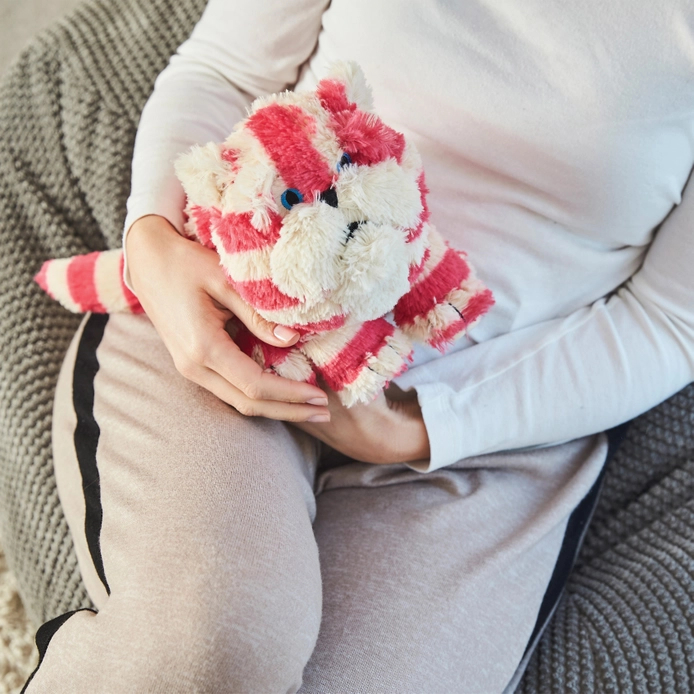 Warmies Bagpuss Cat Warmies Bagpuss Cat