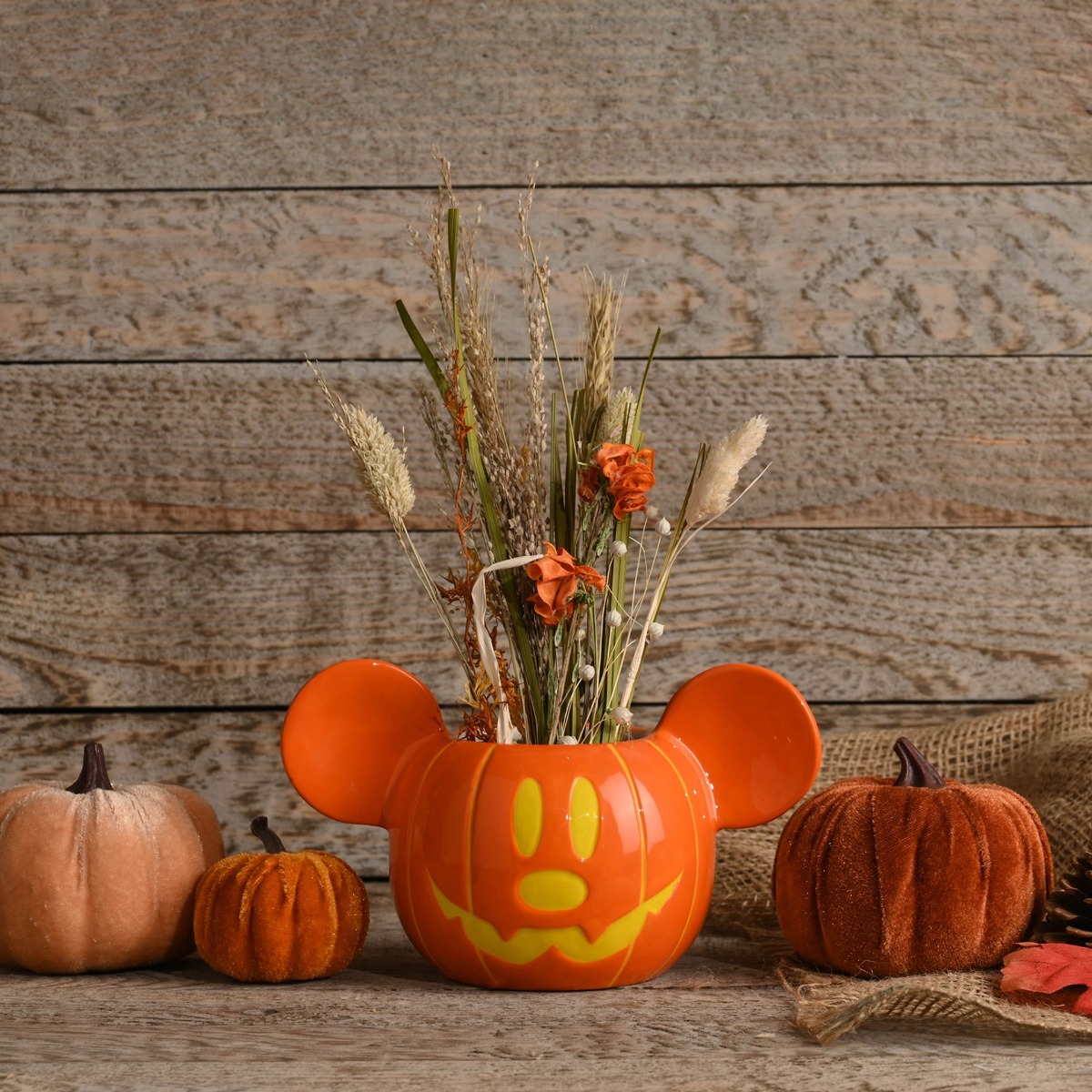 Disney Mickey Pumpkin Plant Pot